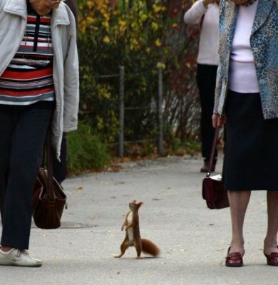 ����� 2.jpg