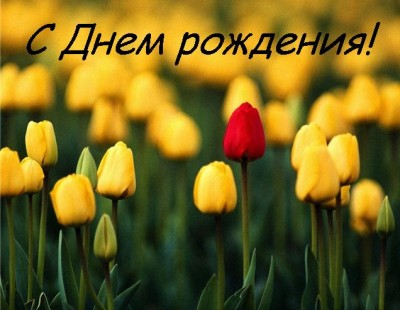 �����.JPG