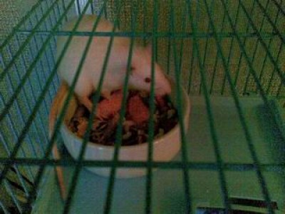 Agusta ����060.jpg