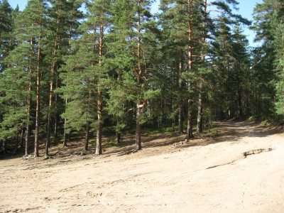 IMG_2670.jpg