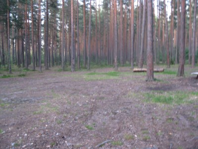 IMG_2705.jpg