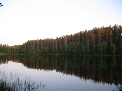 IMG_2706.jpg
